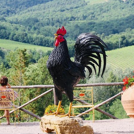 Agriturismo Borgo Il Bonagino Radda in Chianti Extérieur photo