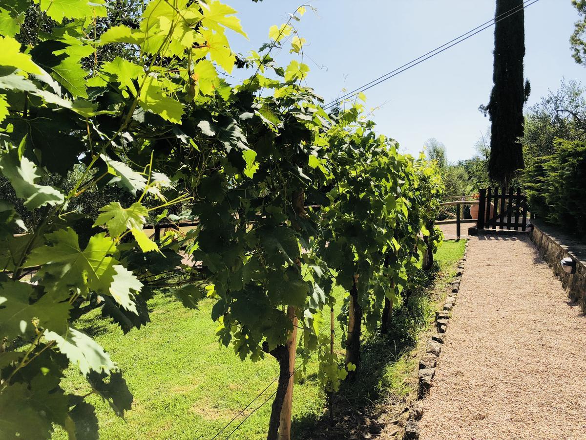 Agriturismo Borgo Il Bonagino Radda in Chianti Extérieur photo