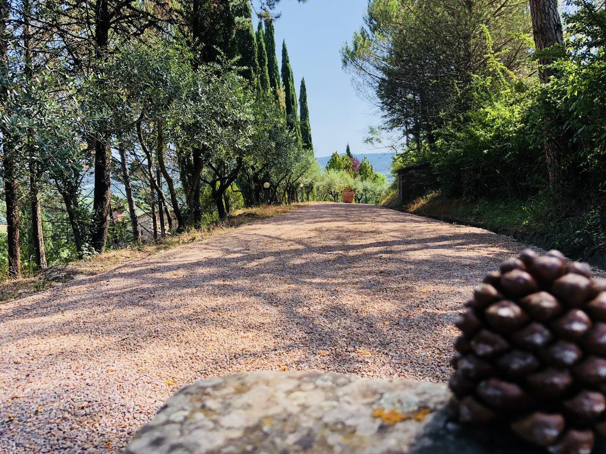 Agriturismo Borgo Il Bonagino Radda in Chianti Extérieur photo